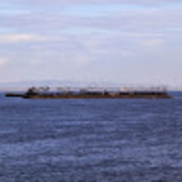 Meet your Posher, Marianne - Picture 1 of 1